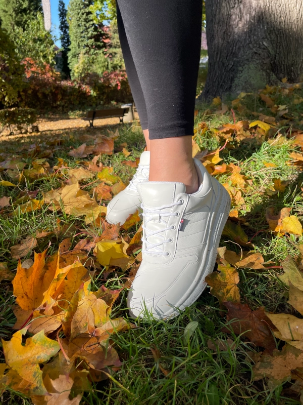 wama proflex sesja 1