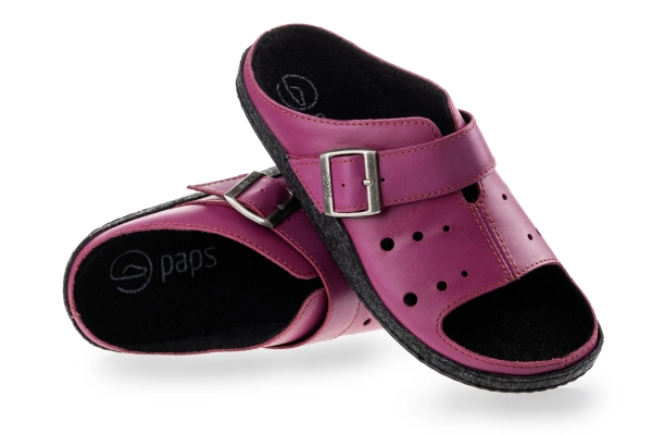 paps-1423-fuksja paps 1423 fuksja